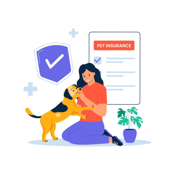 Pet Insurance Explained